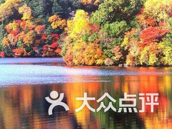 【城乡一线】榆次区智能化服务托起幸福“夕阳红”